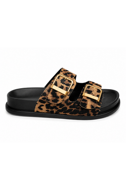 Leopardo